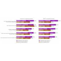 Tracking Public Opinion About Unsupported Narratives in the 2020 Presidential Election - Wave 6 Report