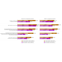 Tracking Public Opinion About Unsupported Narratives in the 2020 Presidential Election - Wave 5 Report